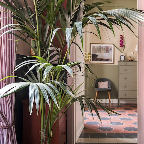 Wonderful houseplants