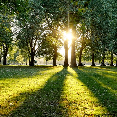 Enjoy a morning stroll through Hyde Park, a short walk away