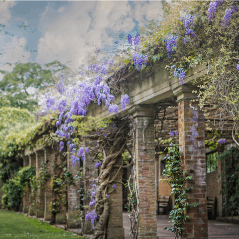 Explore all the sights of Harrogate, such as Valley Gardens, within walking distance of the flat