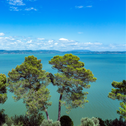 Enjoy life beside lovely Lake Trasimeno, which you can see from the villa