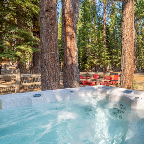 Relax in the hot tub amid the pines
