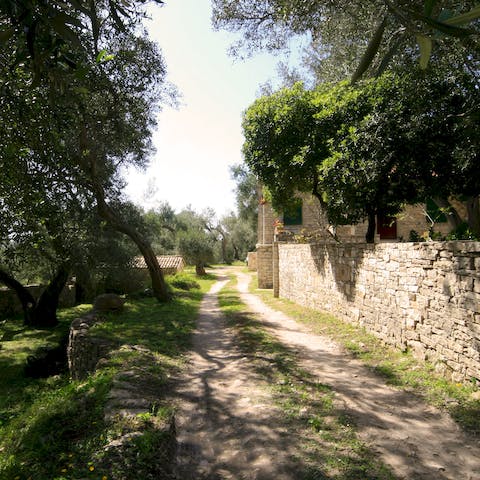 Explore the surrounding gardens and countryside, there's circular routes leading right from your door