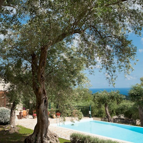 Make poolside lounging here your only firm plan for the day
