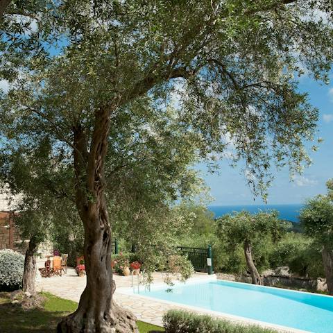 Make poolside lounging here your only firm plan for the day