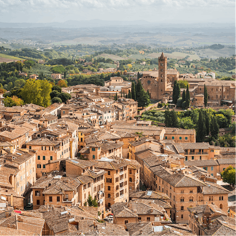 Discover the surrounding hillside villages, starting in Montepulciano, just a twenty-three minute drive away