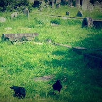 Visit Brompton Cemetery