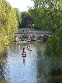 Explore the Scenic River Cam with Let's Go Punting Cambridge