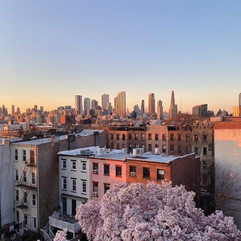 Explore the delights of Brooklyn from this Crown Heights location