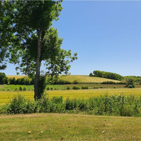 Explore the lush green countryside of nearby Sainte-Baume Natural Park