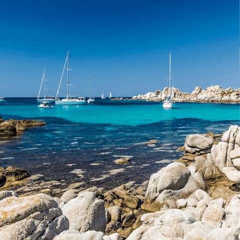 Explore the Mediterranean island of Corsica, home to stylish coastal towns, dense forest and craggy peaks
