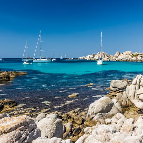 Explore the Mediterranean island of Corsica, home to stylish coastal towns, dense forest and craggy peaks