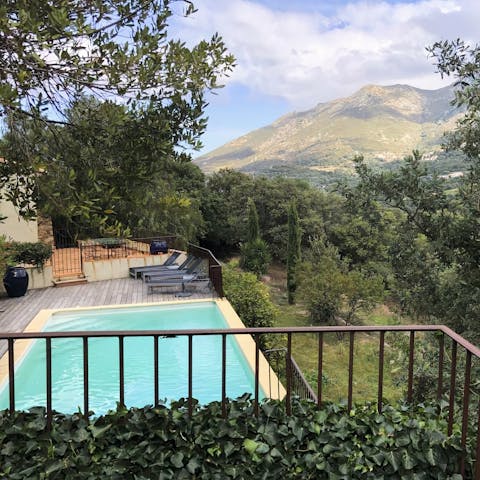 Relax with a swim in the private pool, surrounded by magnificent greenery