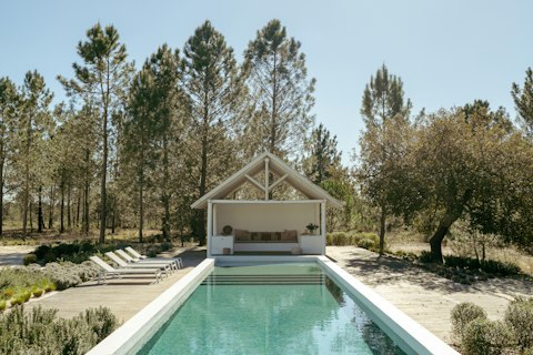 Swim lengths with tall pines surrounding you