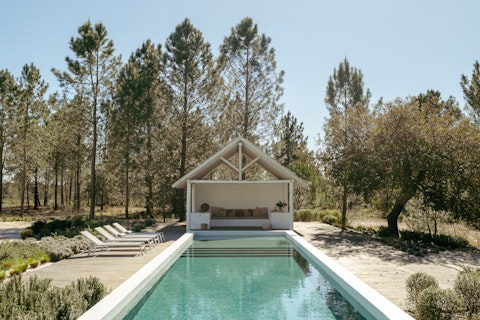 Swim lengths with tall pines surrounding you