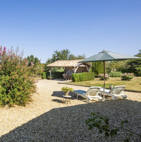 Bask in the sun in the garden