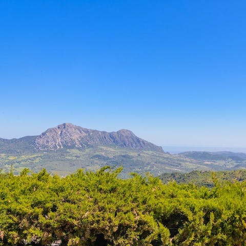 Explore the beautiful towns and landscapes of Andalusia, right on your doorstep