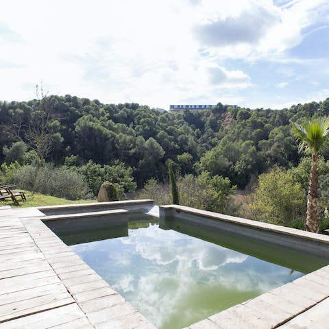 Admire the scenery from the luxury of the pool