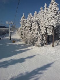 Experience Hunter Mountain Resort