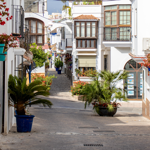 Visit Estepona, only 5 km away, to experience some traditional Spanish culture