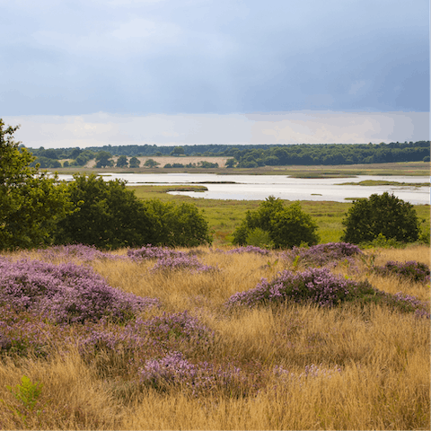 Take a long walk along the banks of the River Alde, reached in a quarter of an hour's drive