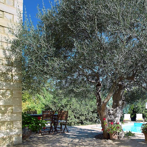Enjoy sun-dappled lunches by the pool