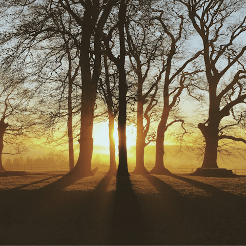 Put on your hiking boots and explore nearby Broadway Tower