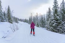 Experience the Historic Howelsen Hill Ski Area