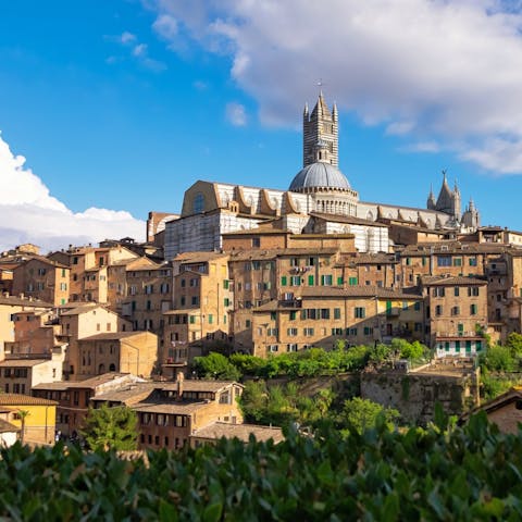 Take a day trip to nearby Siena or Arezzo