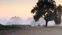 Explore Sutton Hoo's Anglo-Saxon Burial Site and Exhibitions