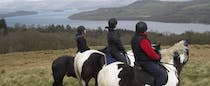 Experience Loch Lomond Pony Trekking