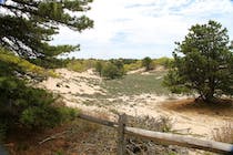 Explore Nature at Napeague State Park