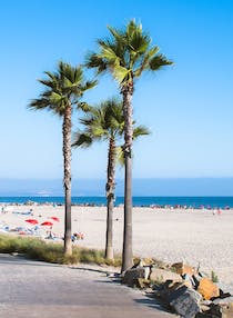 Experience the Vibrant Beauty of South Mission Beach