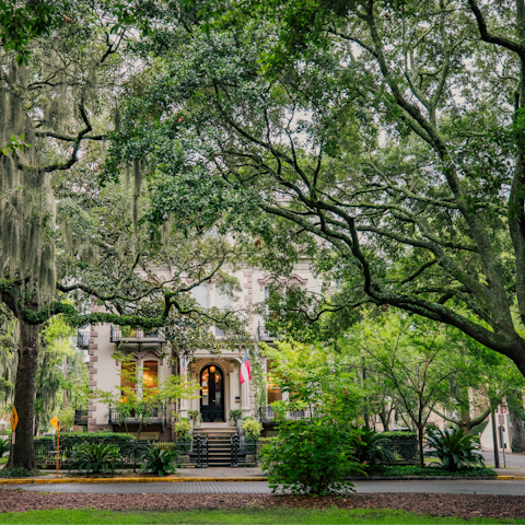 Meander through the historic streets of downtown Savannah
