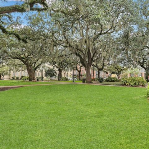 Reconnect with nature in Oglethorp Square, right across the street