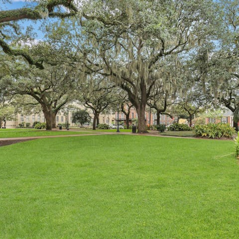 Reconnect with nature in Oglethorp Square, right across the street