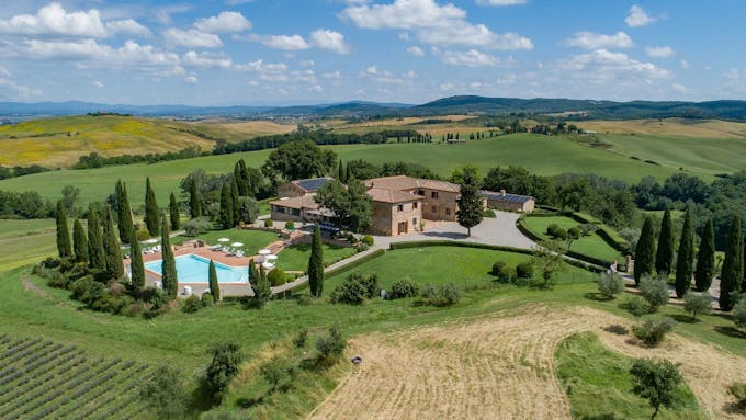 Chianti & Vines
