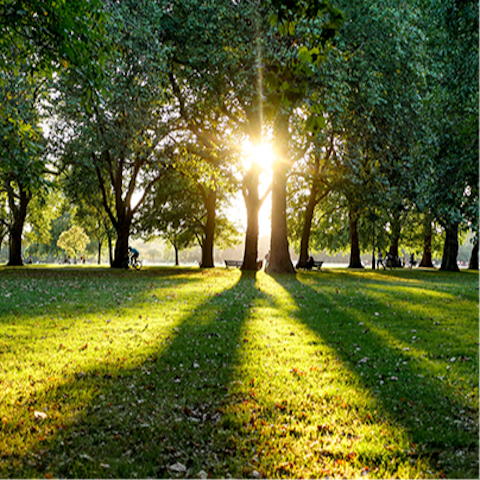 Take a morning jog around Hyde Park, 1km away