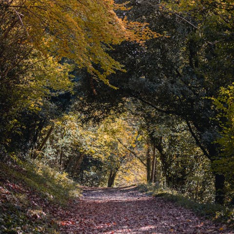 Make the most of your countryside location with a footpaths aplenty from your front door