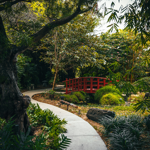 Discover Miami Beach Botanical Garden, only a short walk away