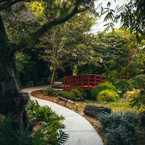 Discover Miami Beach Botanical Garden, only a short walk away