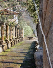 Explore the Historic Jardins d'Alfàbia