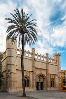 Explore the Gothic Architecture at Llotja de Palma
