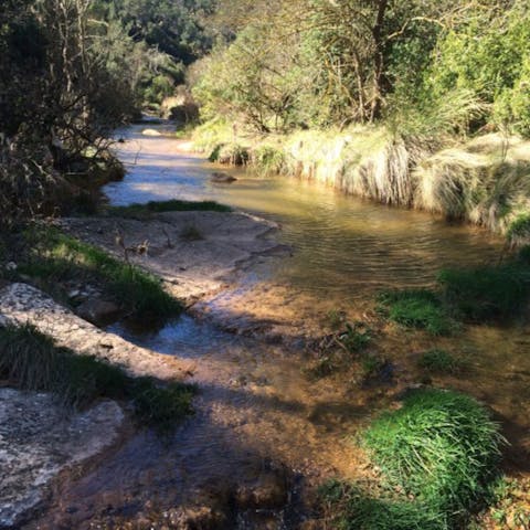 Seek out the idyllic streams and waterfalls that surround the residence