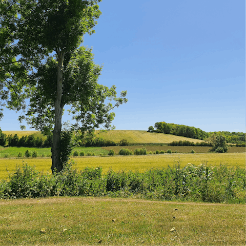 Explore the natural beauty of the Gâtinais-Français Regional Natural Park