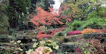 Explore Batsford Arboretum and Garden Centre