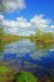 Explore Cotswold Country Park & Beach