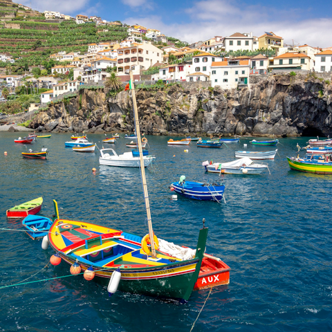 Take a scenic coastal drive to Câmara de Lobos, forty-minutes away