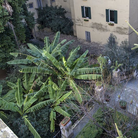 Take in views of the courtyard gardens below