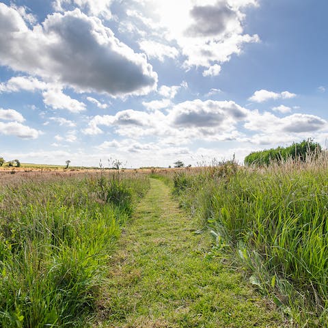 Walk through the surrounding countryside along River Frome