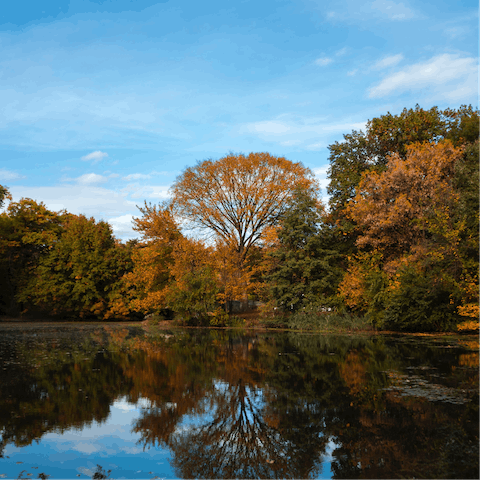 Walk to beautiful Prospect Park in just twenty minutes